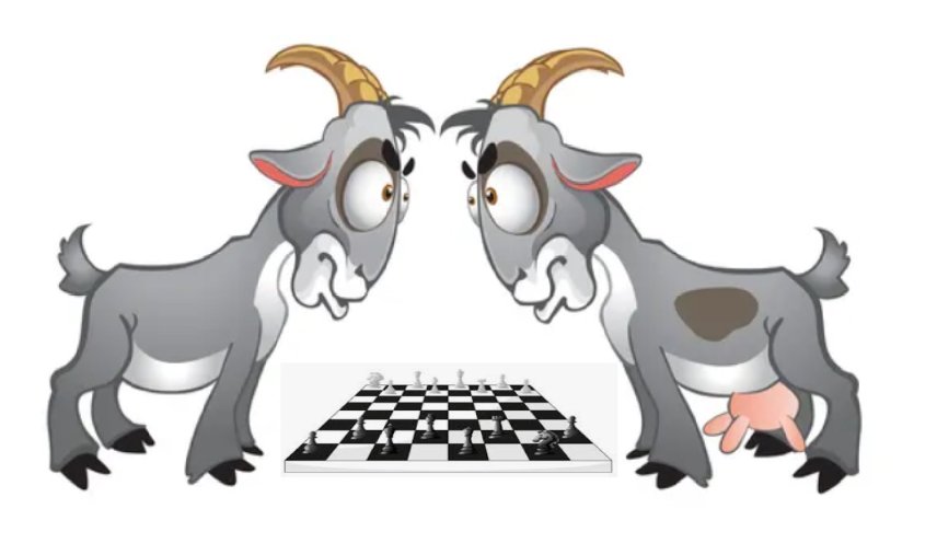 Grali w Wielkopolsce